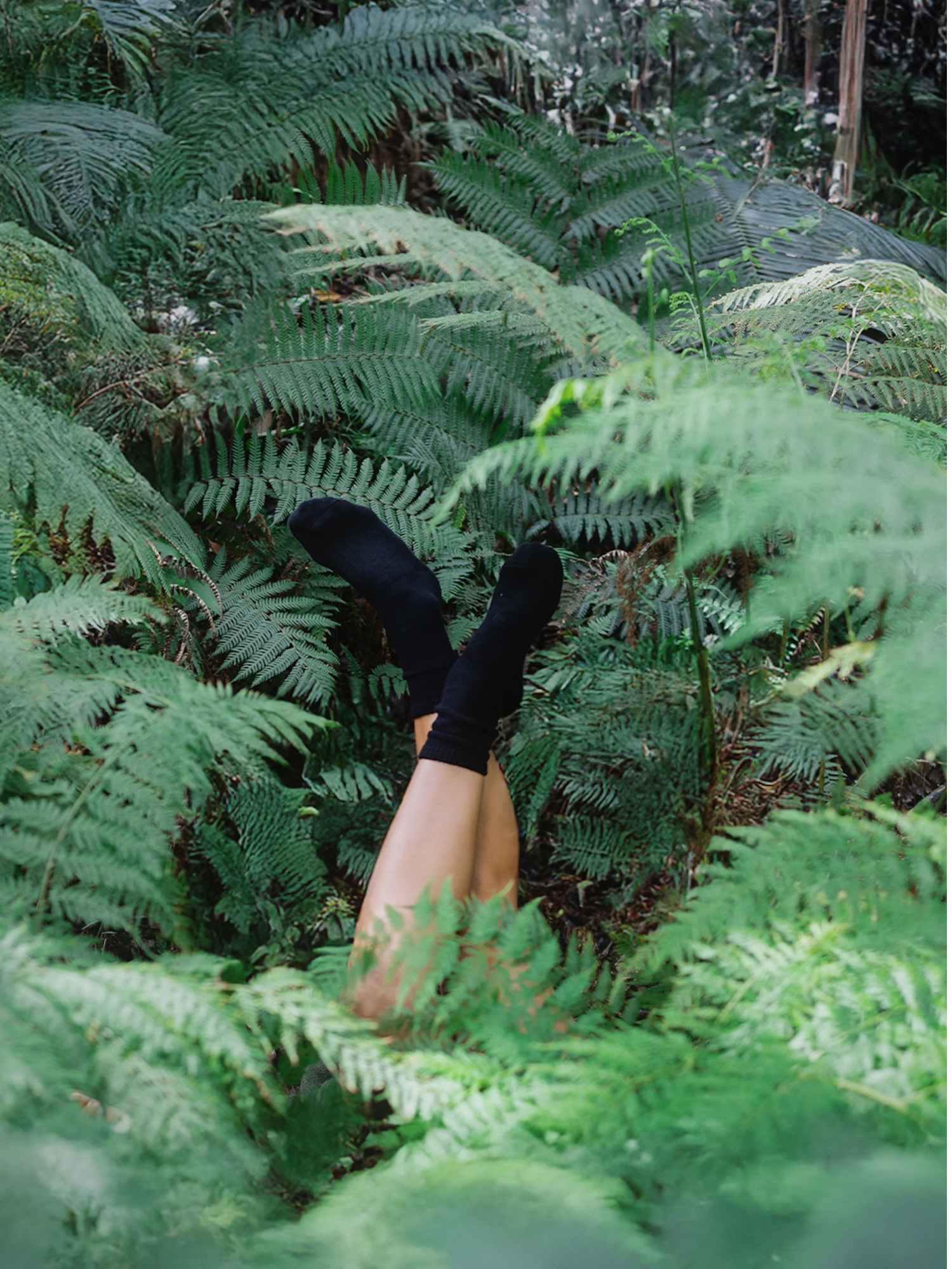 Person lying on their back in a fern forest wearing black socks.