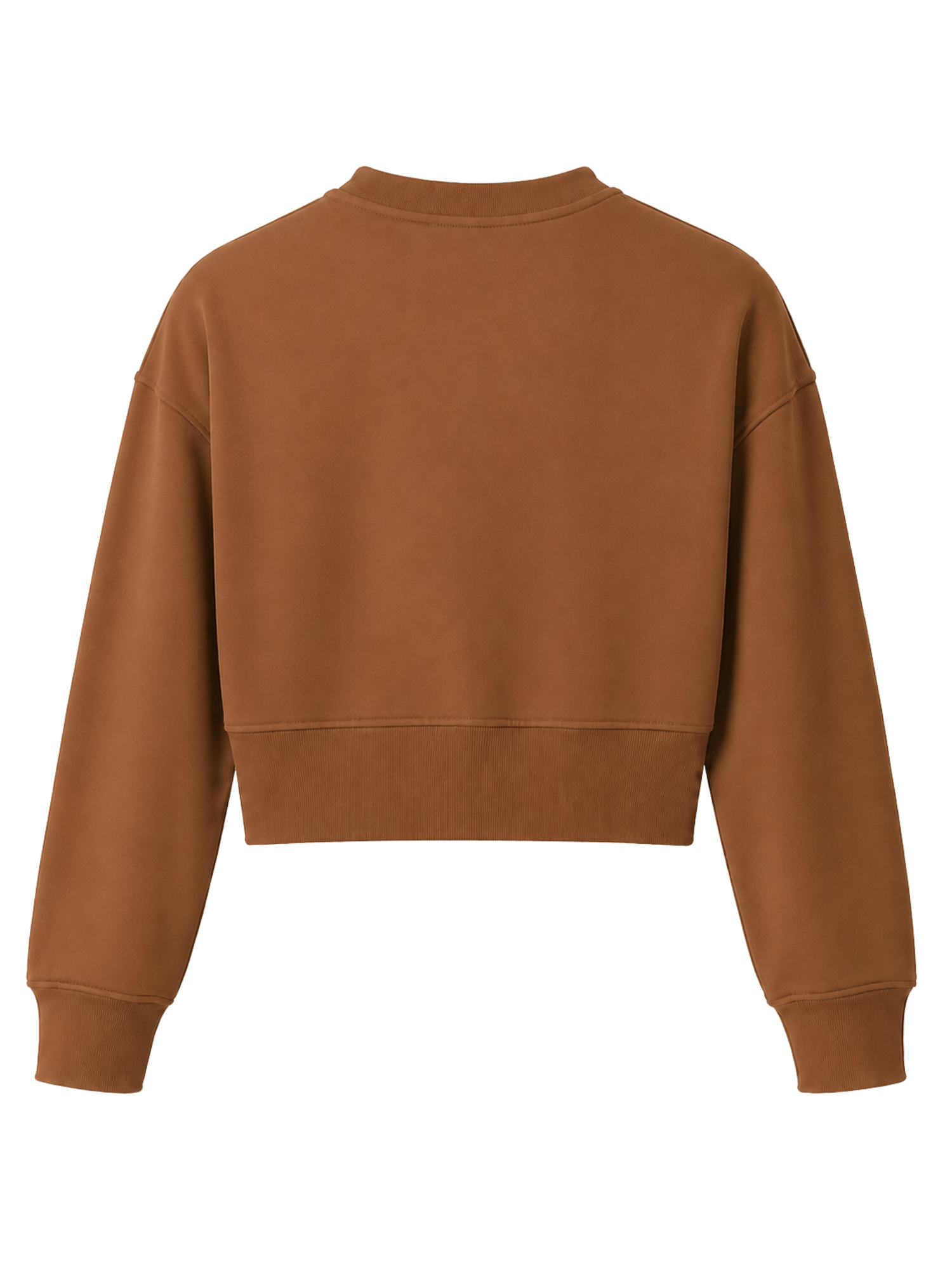 A cropped long-sleeve sweatshirt in a warm camel brown color, shown from the back on a plain white background.