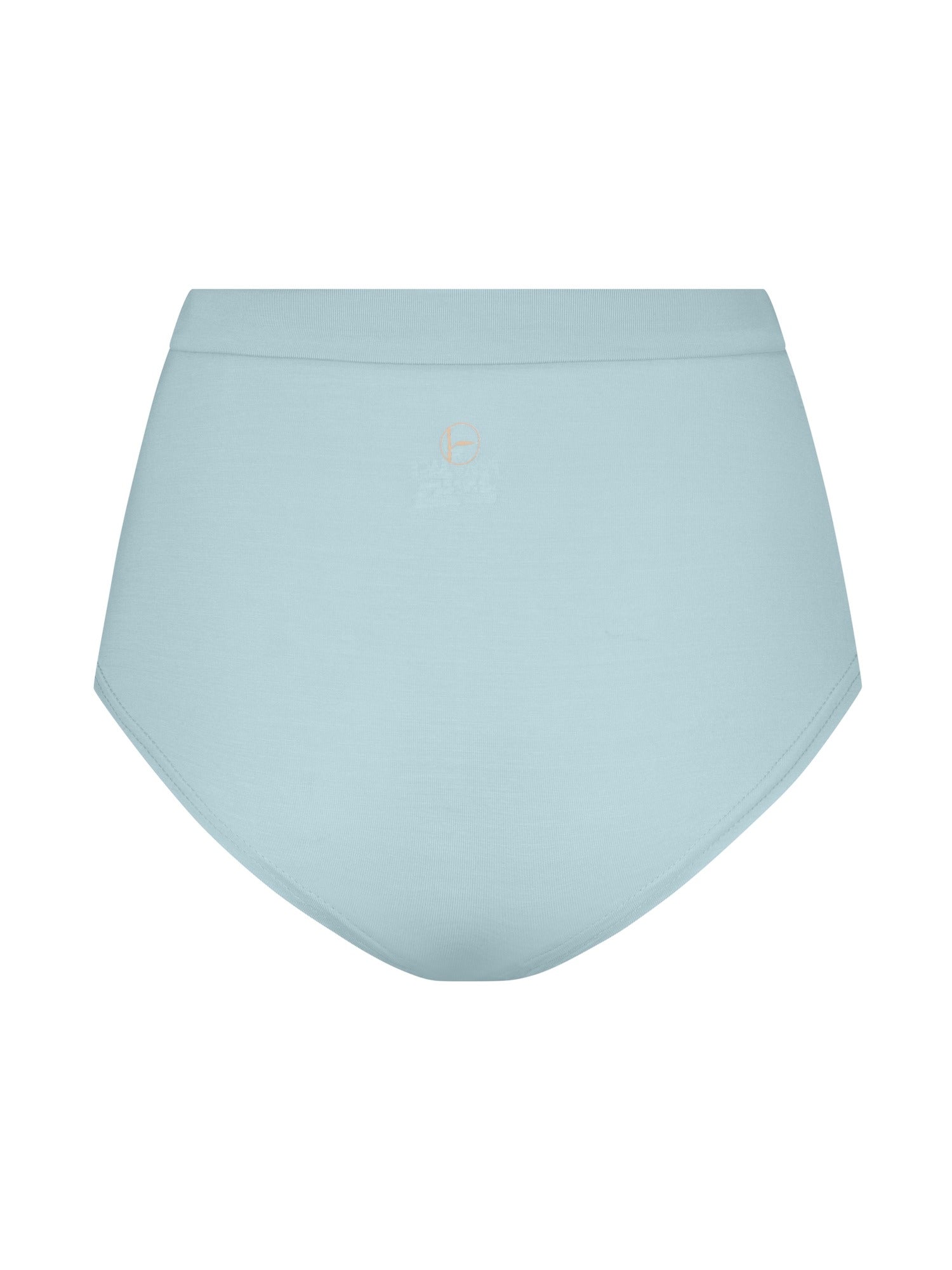 Light blue high-waisted underwear on a white background