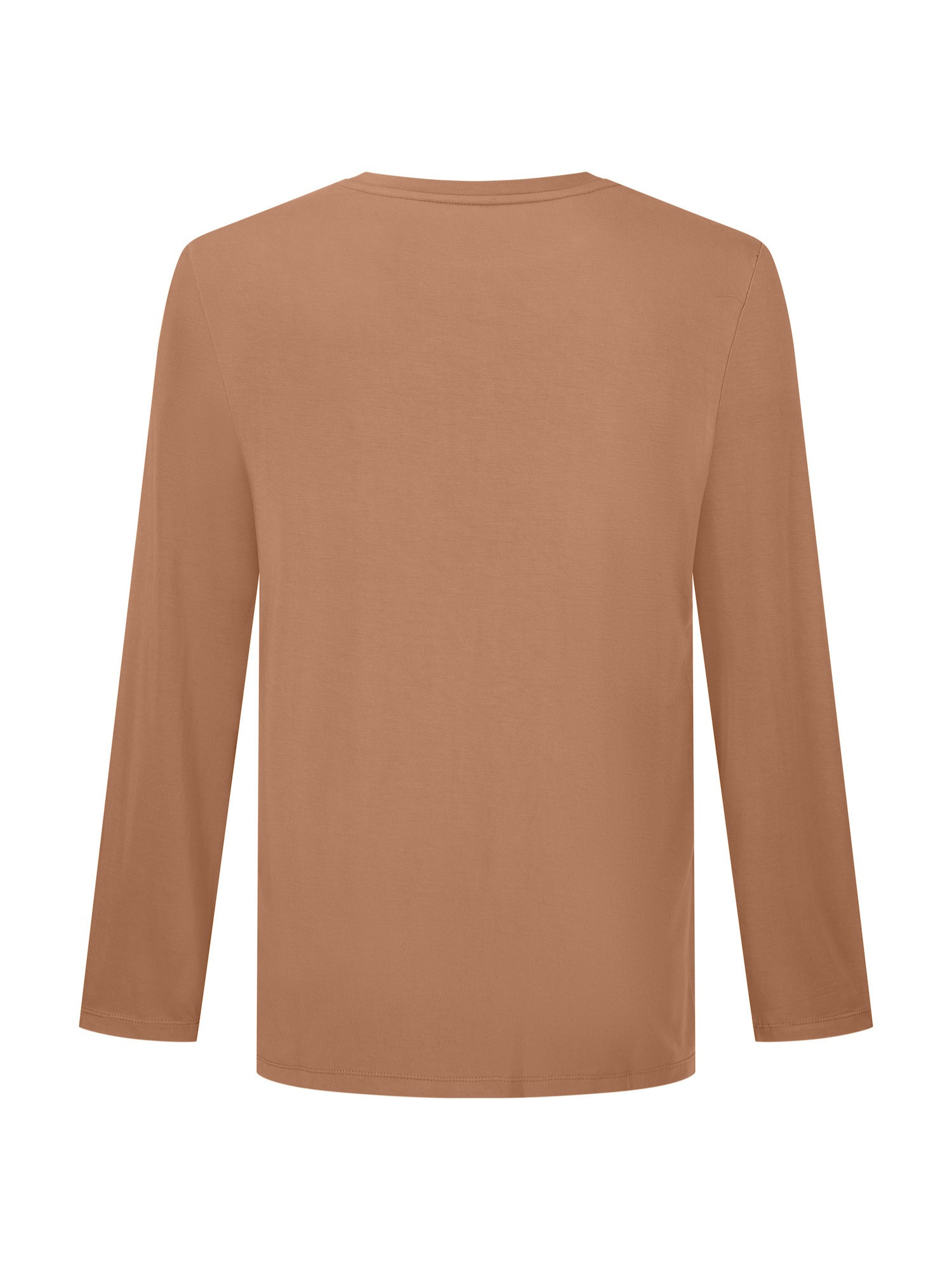 A long-sleeve crewneck t-shirt in a solid warm tan or camel color, shown from the back on a plain white background.