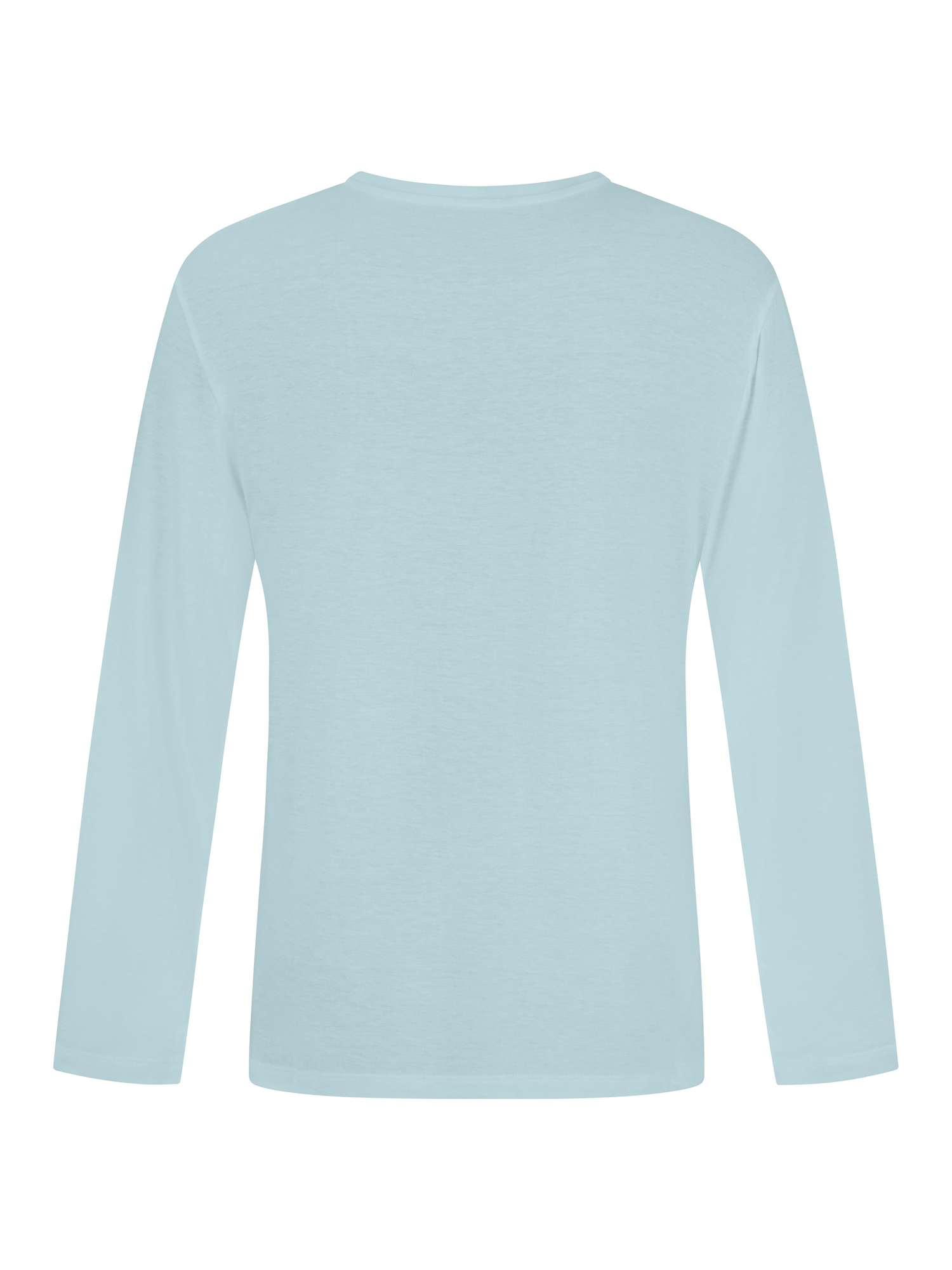 A light blue long-sleeve crewneck shirt shown from the back on a plain white background.