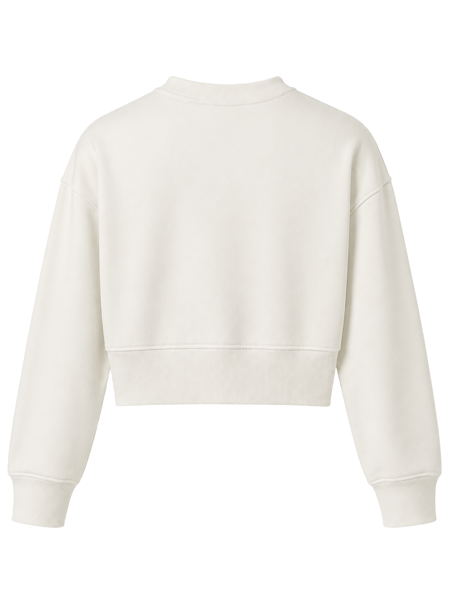 A cropped long-sleeve sweatshirt in a warm off-white or cream color, shown from the back against a plain white background.